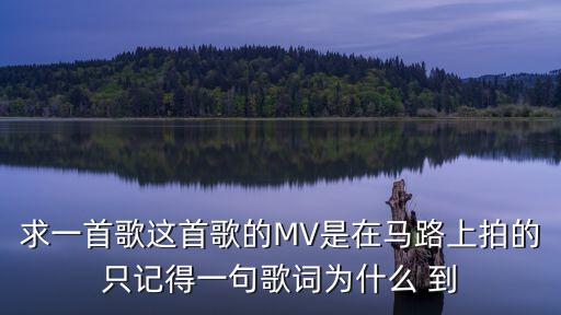 求一首歌這首歌的MV是在馬路上拍的只記得一句歌詞為什么 到