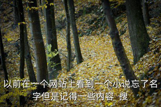 以前在一個網站上看到一個小說忘了名字但是記得一些內容  搜