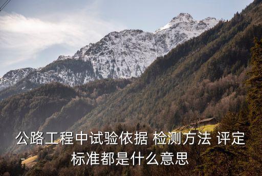 公路工程中試驗(yàn)依據(jù) 檢測(cè)方法 評(píng)定標(biāo)準(zhǔn)都是什么意思