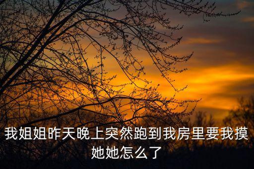 我姐姐昨天晚上突然跑到我房里要我摸她她怎么了
