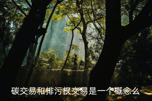 排污權(quán)交易，企業(yè)自己可以將排污權(quán)有償轉(zhuǎn)讓給別人嗎
