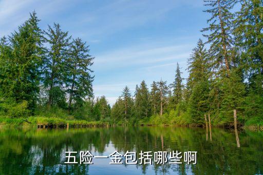 五險(xiǎn)一金包含什么，什么是五險(xiǎn)一金都分別指什么