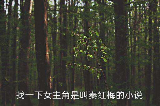 找一下女主角是叫秦紅梅的小說