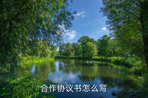 合作協(xié)議書怎么寫，合作合同怎么寫