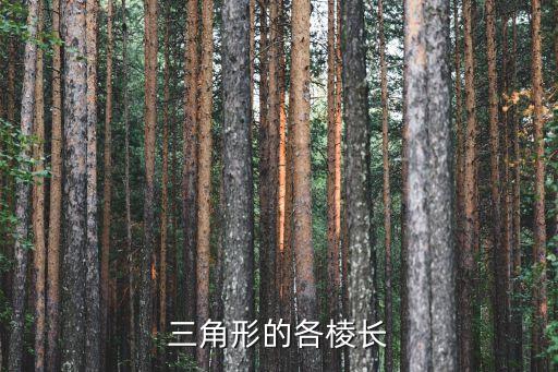 三角形的各棱長