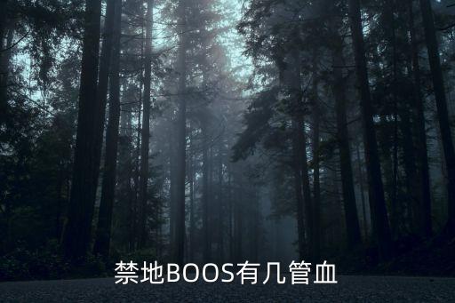 禁地BOOS有幾管血