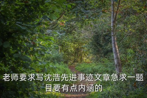 老師要求寫沈浩先進事跡文章急求一題目要有點內(nèi)涵的