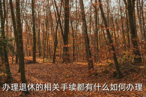 辦理退休的相關(guān)手續(xù)都有什么如何辦理
