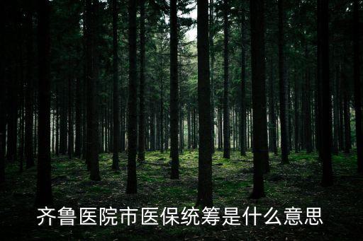 統(tǒng)籌什么意思，機(jī)關(guān)單位養(yǎng)老保險統(tǒng)籌是什么意思