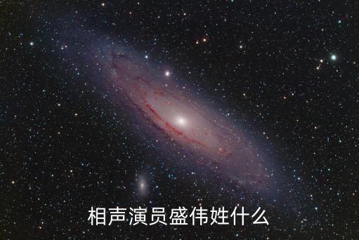 相聲演員盛偉姓什么