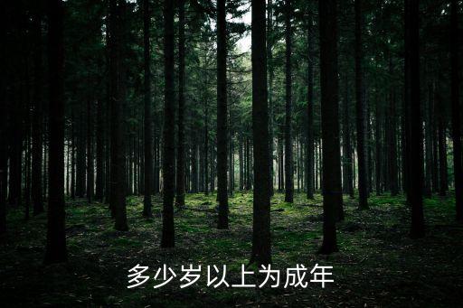 成人18在線，多少歲算成年人