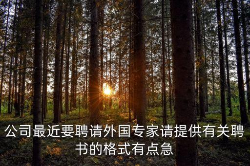 聘書怎么寫，招聘書怎么寫呀