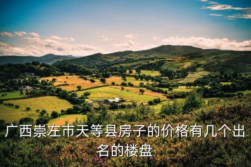 廣西崇左市天等縣房子的價(jià)格有幾個(gè)出名的樓盤