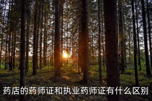 藥店的藥師證和執(zhí)業(yè)藥師證有什么區(qū)別