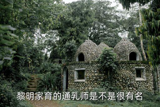 黃永軍，黎明家育的那位姓黃的高級子宮復(fù)位師是誰啊