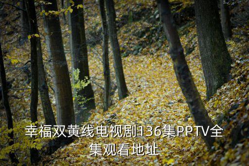 謝貴平，幸福雙黃線百度影音136集全集連播地址