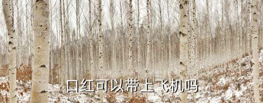 飛機上能帶口紅嗎，口紅能帶上飛機嗎