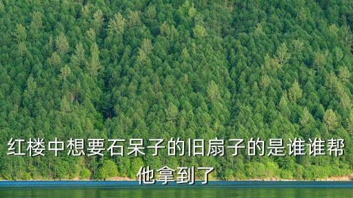 紅樓中想要石呆子的舊扇子的是誰誰幫他拿到了