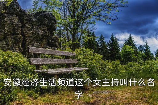 安徽經(jīng)濟生活頻道這個女主持叫什么名字
