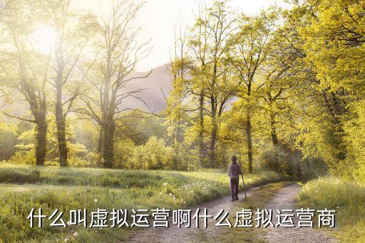 什么叫虛擬運(yùn)營啊什么虛擬運(yùn)營商