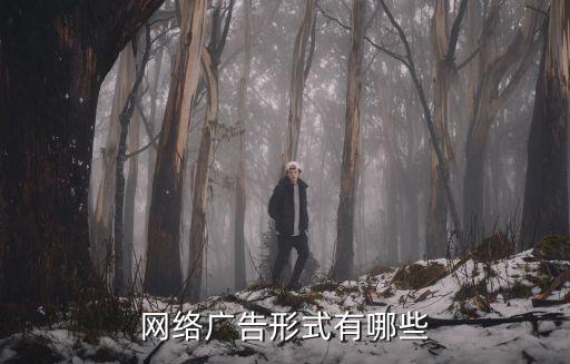網(wǎng)絡(luò)廣告的形式，網(wǎng)絡(luò)廣告的主要類型有