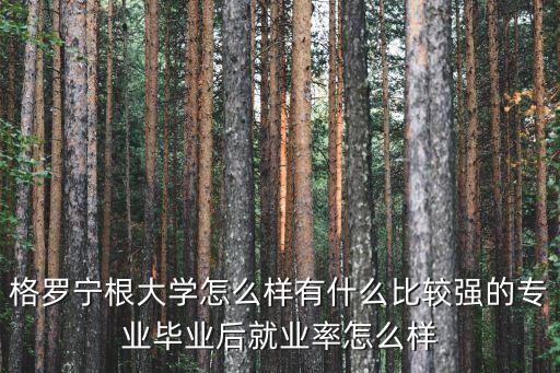 格羅寧根大學(xué)，格羅寧根大學(xué)怎么樣有什么比較強的專業(yè)畢業(yè)后就業(yè)率怎么樣