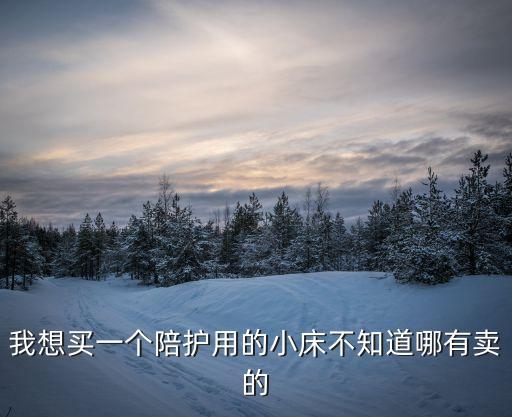 我想買一個陪護用的小床不知道哪有賣的