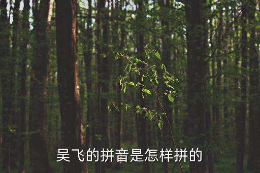 吳飛的拼音是怎樣拼的