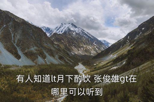 有人知道lt月下酌飲 張俊雄gt在哪里可以聽到