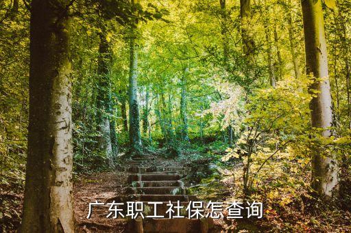 廣東職工社保怎查詢