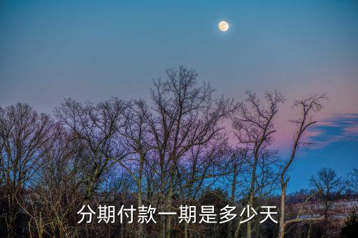 分期付款一期是多少天