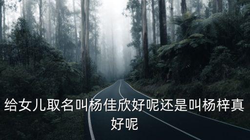 給女兒取名叫楊佳欣好呢還是叫楊梓真好呢