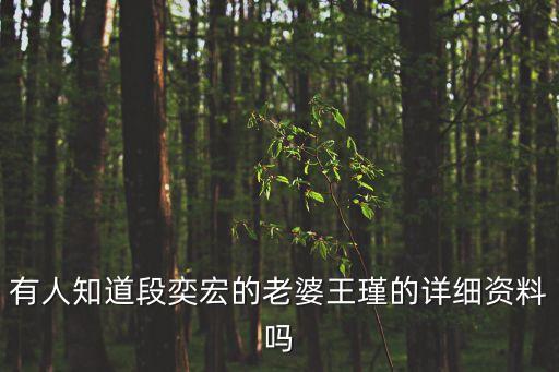 王璟，王璟是哪里人