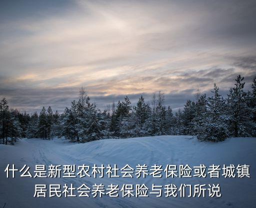 新型農(nóng)村養(yǎng)老保險，新型農(nóng)村社會養(yǎng)老保險包含哪些參保范圍