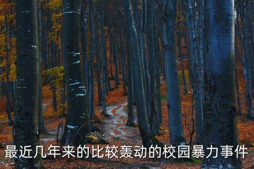 最近幾年來(lái)的比較轟動(dòng)的校園暴力事件