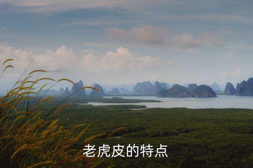 老虎皮的特點