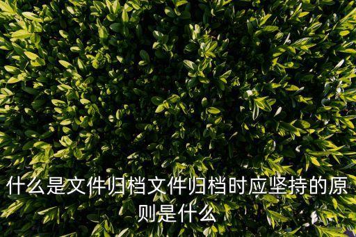 什么是文件歸檔文件歸檔時(shí)應(yīng)堅(jiān)持的原則是什么