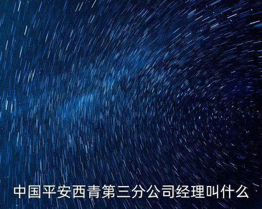 中國(guó)平安西青第三分公司經(jīng)理叫什么