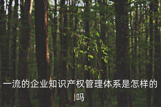 知識產(chǎn)權(quán)管理體系，知識產(chǎn)權(quán)制度體系的指標(biāo)大概有哪些