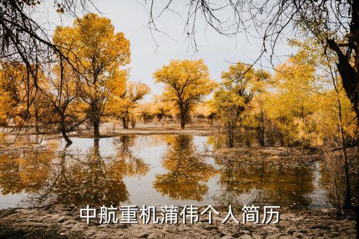 中航重機(jī)蒲偉個(gè)人簡(jiǎn)歷
