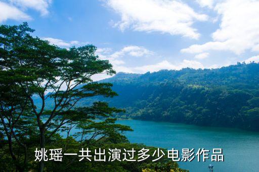 姚瑤一共出演過多少電影作品
