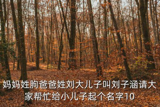 媽媽姓朐爸爸姓劉大兒子叫劉子涵請大家?guī)兔o小兒子起個名字10