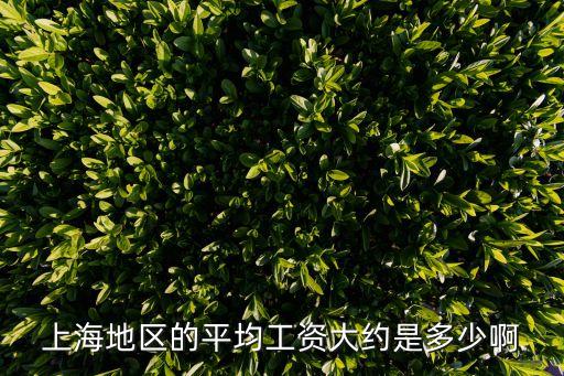 上海地區(qū)的平均工資大約是多少啊