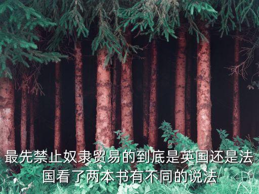 禁奴，有沒(méi)有囚禁性奴從來(lái)沒(méi)有被發(fā)現(xiàn)的