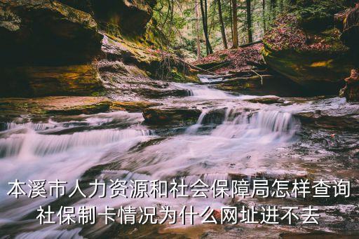 本溪市人力資源和社會(huì)保障局怎樣查詢社保制卡情況為什么網(wǎng)址進(jìn)不去