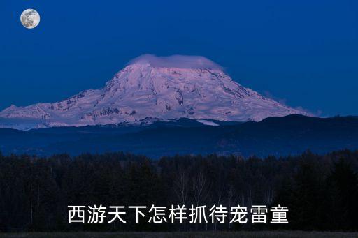 西游天下怎樣抓待寵雷童