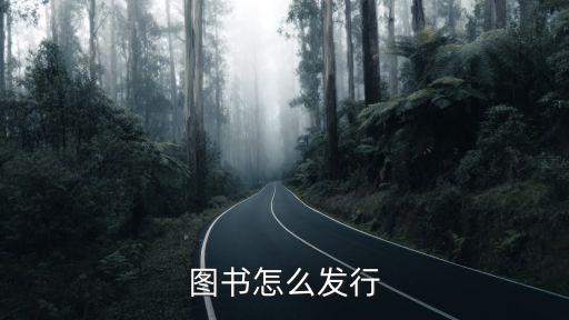 圖書發(fā)行，圖書發(fā)行是什么意思由誰來做是書店嗎我不太懂請指教謝謝