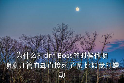 為什么打dnf Boss的時候他明明剩幾管血卻直接死了呢 比如我打蠕動