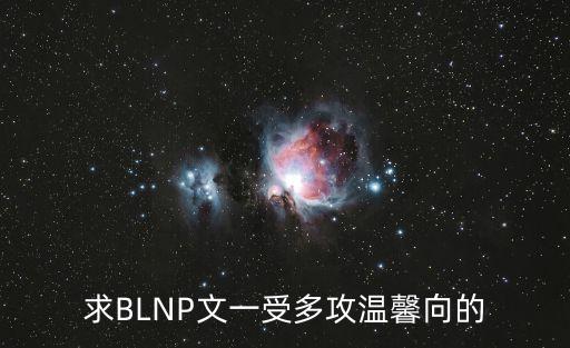 求BLNP文一受多攻溫馨向的