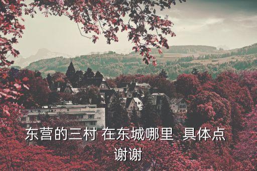 東營的三村 在東城哪里  具體點(diǎn) 謝謝